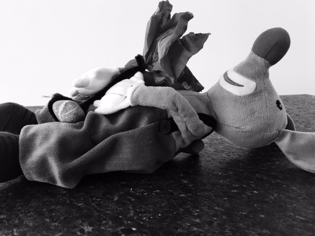 Die Geschichte mit der toten Maus – oder was wir von unseren Kindern lernen&nbsp;können