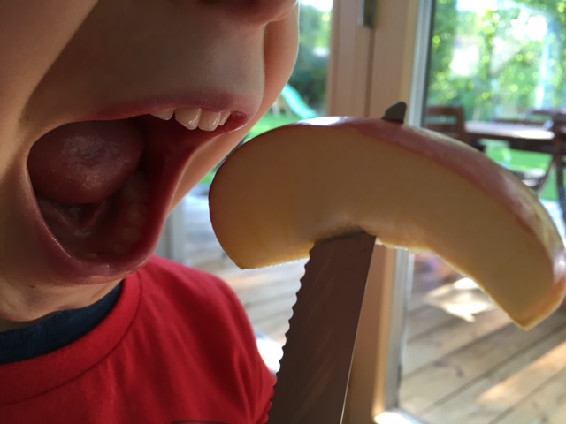 Die Ohren gespitzt, die Augen&nbsp;geschärft…