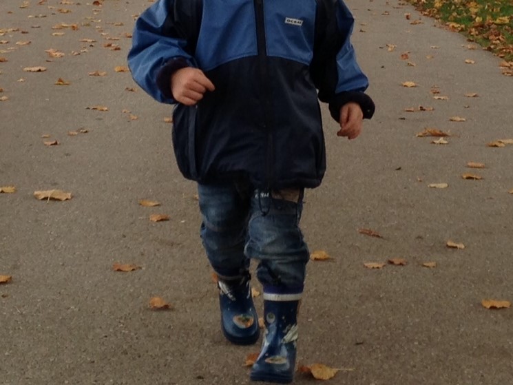 Wer bestimmt das Ziel des Sonntagsausfluges?