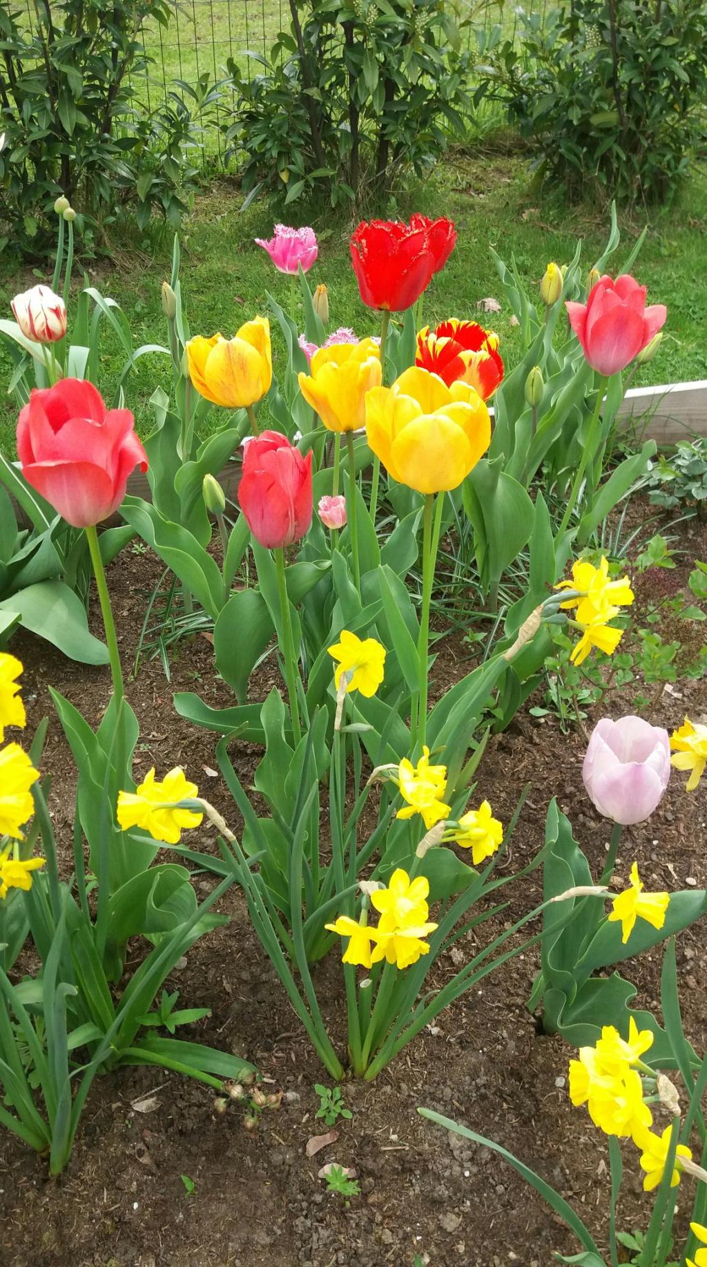 Einen schönen Muttertag!