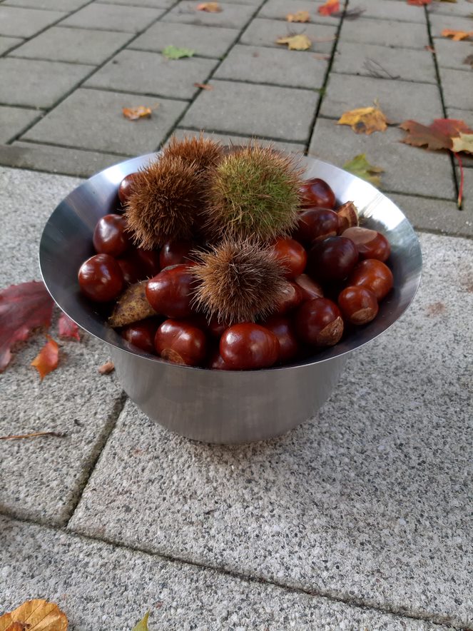 Zwei kurze Gedankensplitter