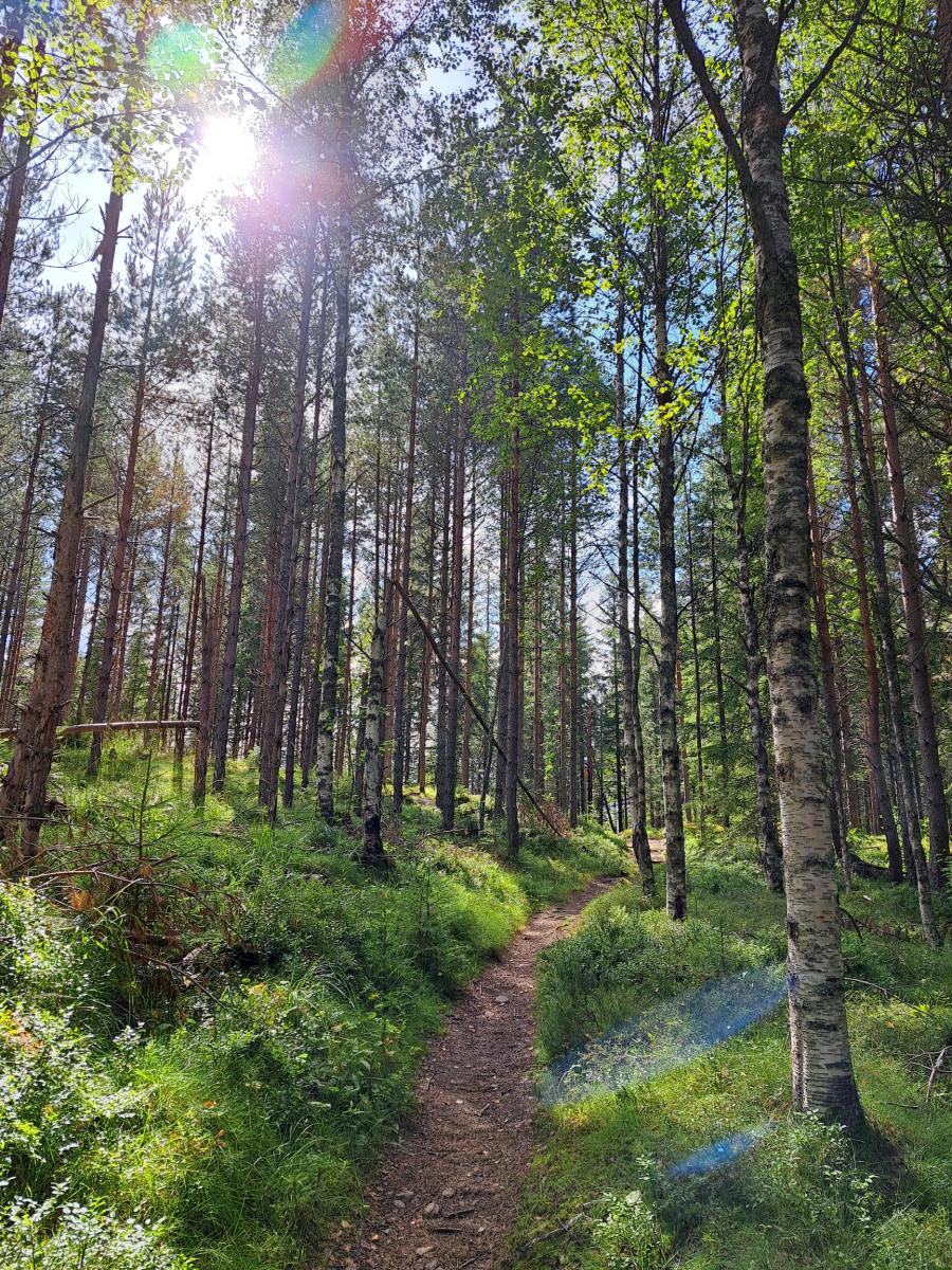 Die Melodien der&nbsp;Stille