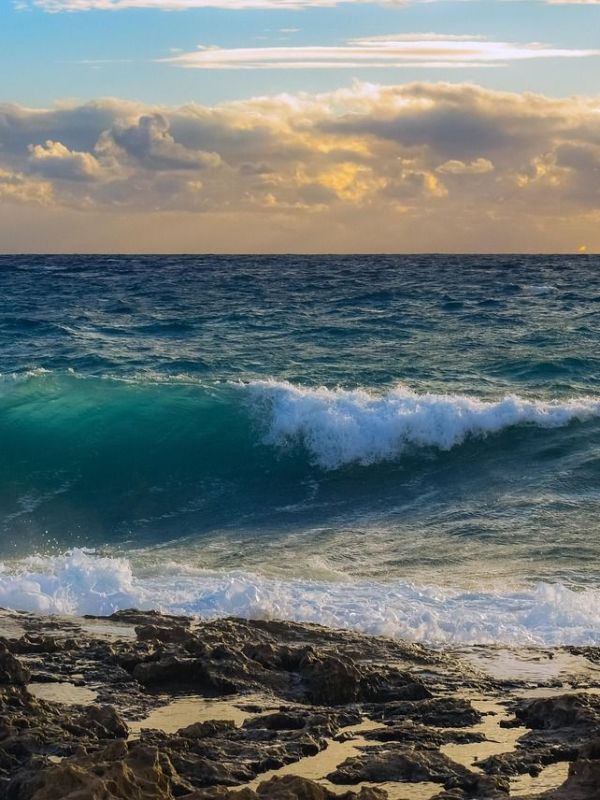 Mit der Welle&nbsp;surfen